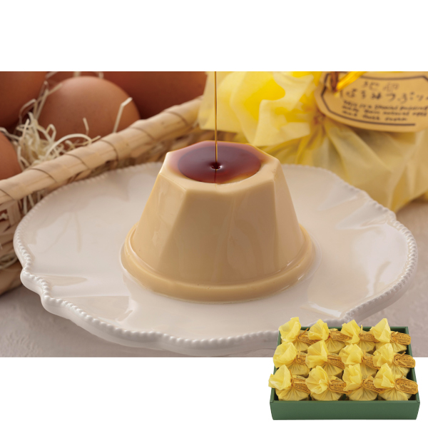 e n݂͂Ղ (JHP-12)